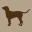 Hunde erlaubt Hunde erlaubt